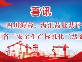 海蓉、海匯藥業(yè)獲評“安全生產(chǎn)標(biāo)準(zhǔn)化二級企業(yè)”